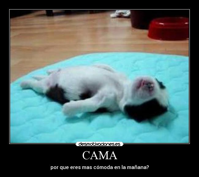 CAMA - 
