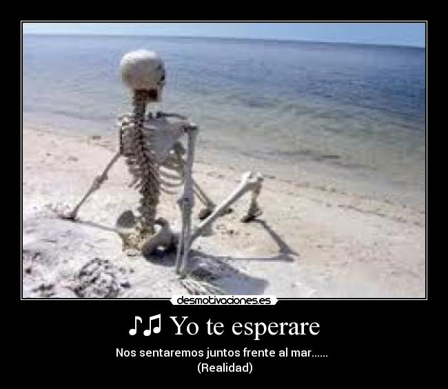 ♪♫ Yo te esperare - Nos sentaremos juntos frente al mar...... ♪♫
(Realidad)