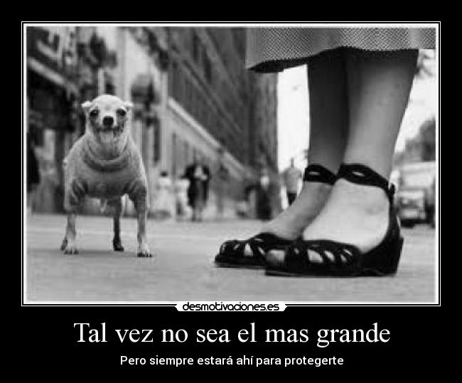 Tal vez no sea el mas grande -