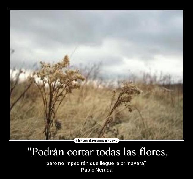 Podrán cortar todas las flores, - 