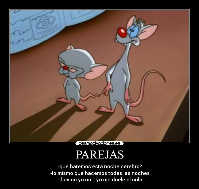 PAREJAS - 