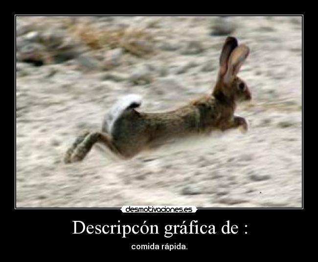 Descripcón gráfica de : -