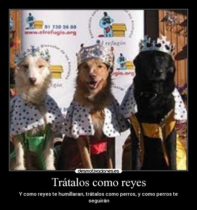 Trátalos como reyes - Y como reyes te humillaran, trátalos como perros, y como perros te seguirán