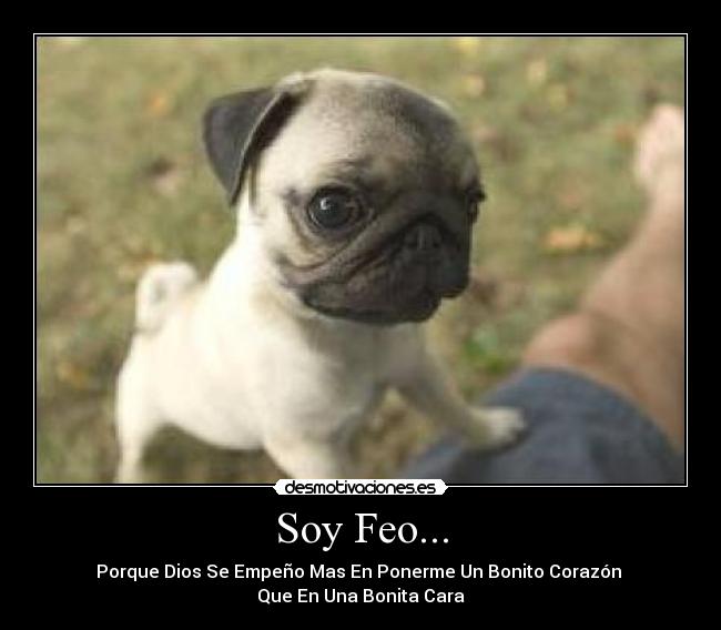 Soy Feo... -