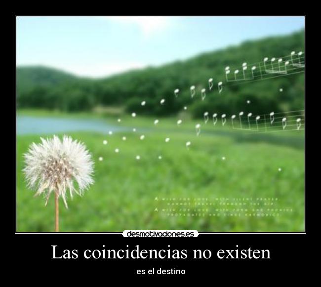 Las coincidencias no existen -