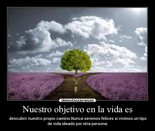 Nuestro objetivo en la vida es Desmotivaciones Nuestro objetivo en la vida es Desmotivaciones