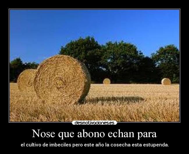 carteles imbeciles desmotivaciones