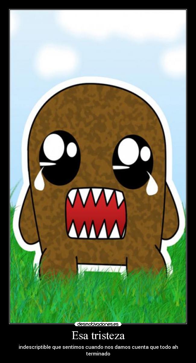 Esa tristeza - indescriptible que sentimos cuando nos damos cuenta que todo ah terminado
