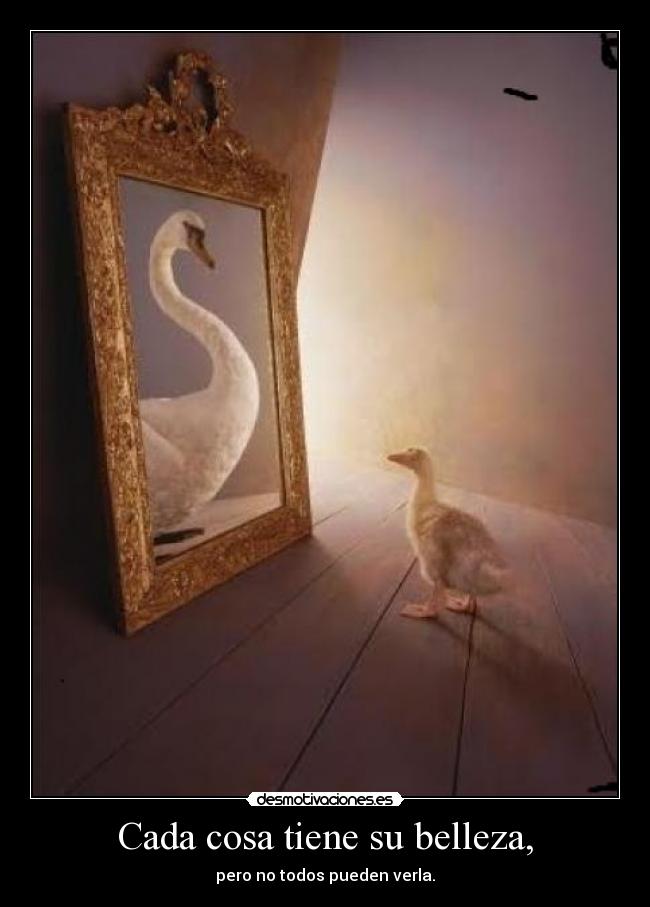 Cada cosa tiene su belleza, - 