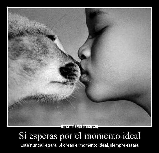 Si esperas por el momento ideal - 