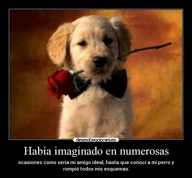Había imaginado en numerosas - 