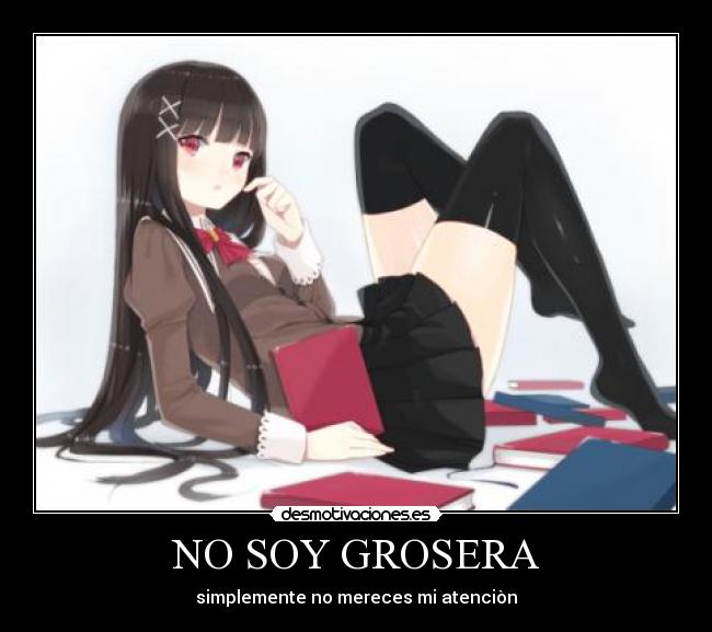 NO SOY GROSERA - 