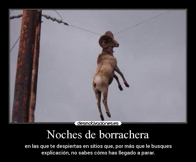 Noches de borrachera - en las que te despiertas en sitios que, por más que le busques
explicación, no sabes cómo has llegado a parar.