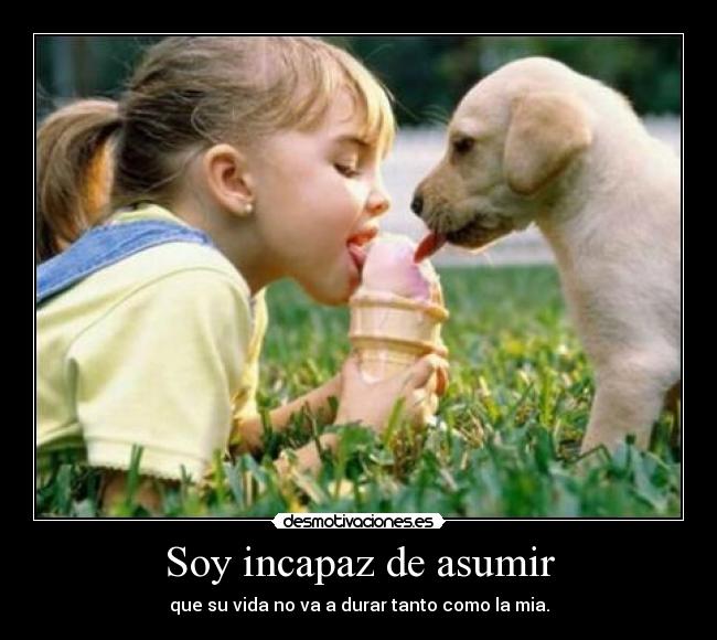 carteles maltrato animal desmotivaciones