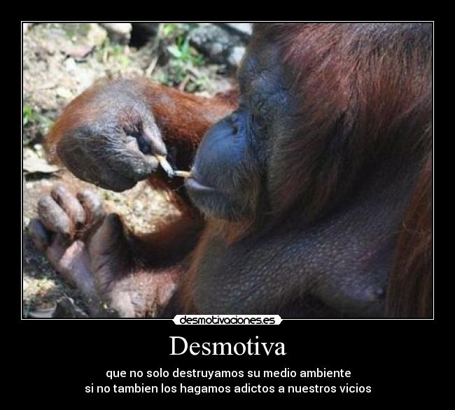 Desmotiva - que no solo destruyamos su medio ambiente
si no tambien los hagamos adictos a nuestros vicios
