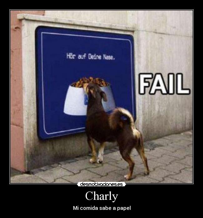 Charly - 