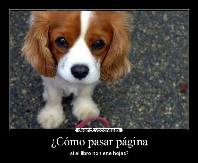¿Cómo pasar página - 