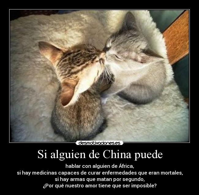 Si alguien de China puede - hablar con alguien de África,
si hay medicinas capaces de curar enfermedades que eran mortales,
si hay armas que matan por segundo,
¿Por qué nuestro amor tiene que ser imposible?