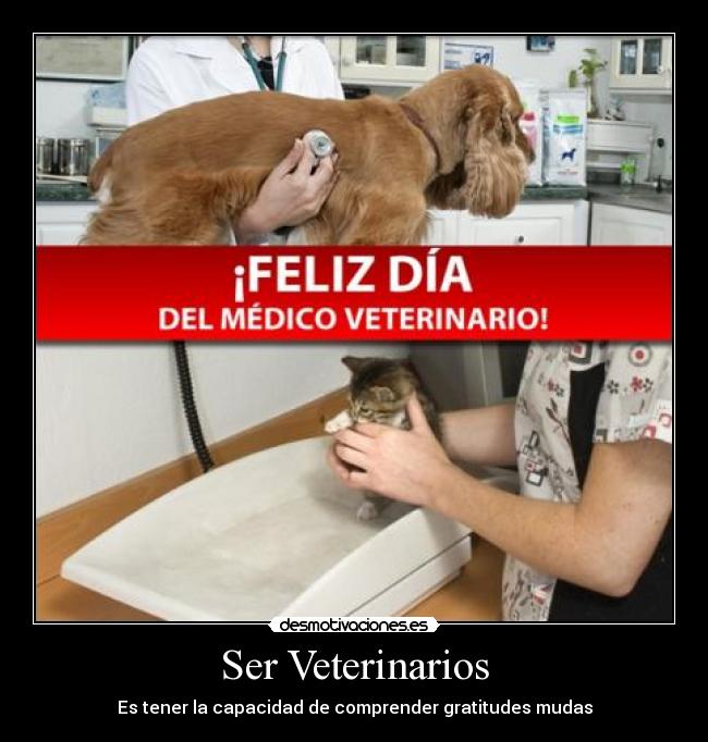 Ser Veterinarios - Es tener la capacidad de comprender gratitudes mudas
