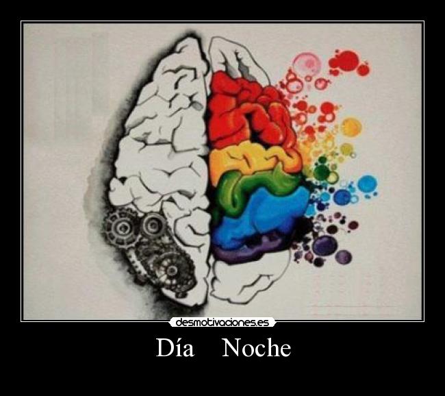 Día    Noche - 