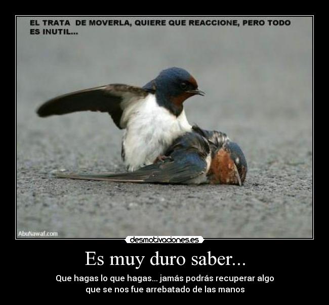 Es muy duro saber... -