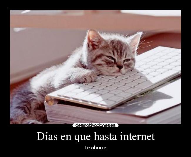 Días en que hasta internet - te aburre