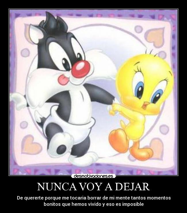 NUNCA VOY A DEJAR - De quererte porque me tocaria borrar de mi mente tantos momentos
bonitos que hemos vivido y eso es imposible