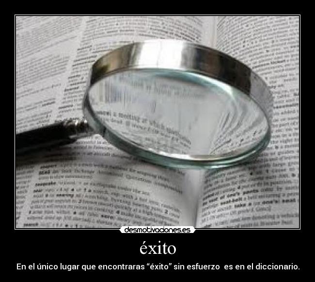 carteles exito desmotivaciones