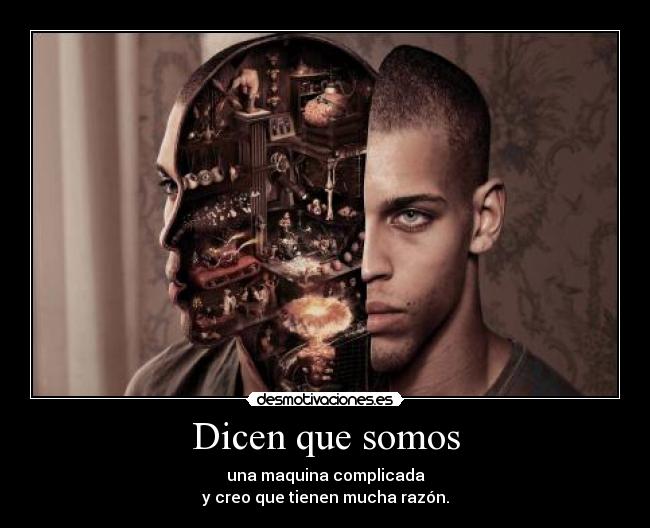 carteles curiosidades humanas desmotivaciones