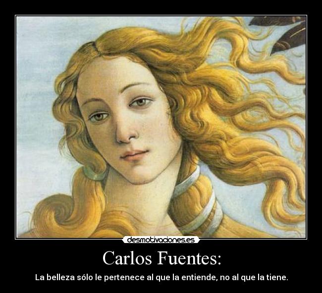 Carlos Fuentes: - La belleza sólo le pertenece al que la entiende, no al que la tiene.