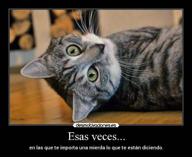 Esas veces... - en las que te importa una mierda lo que te están diciendo.