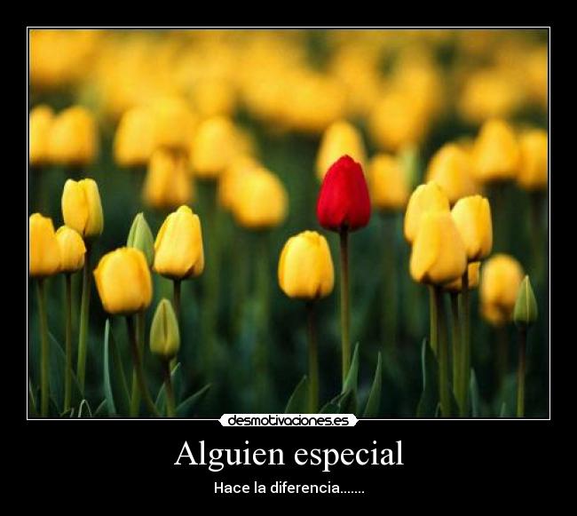 Alguien especial -