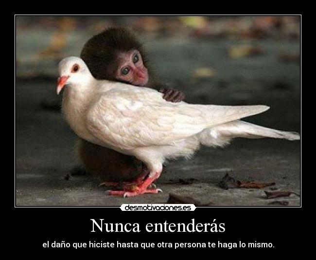 Nunca entenderás - el daño que hiciste hasta que otra persona te haga lo mismo.