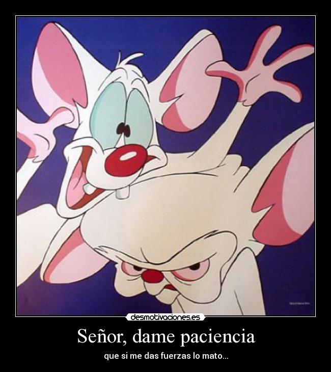 Señor, dame paciencia - que si me das fuerzas lo mato...