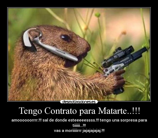 Tengo Contrato para Matarte..!!! - amoooooorrrr.!!! sal de donde esteeeeessss.!!! tengo una sorpresa para tiiiiii...!!!
vas a moriiiiirrr jajajajajaj.!!!