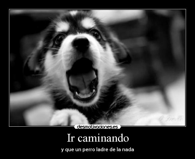 Ir caminando - 
