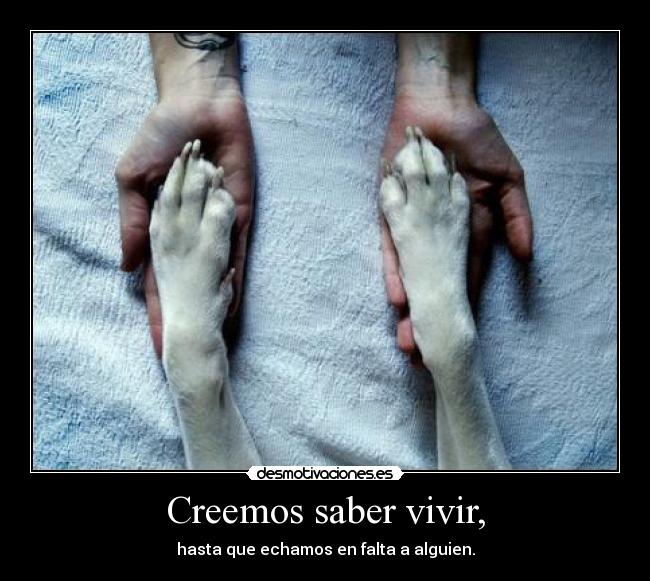 Creemos saber vivir, - hasta que echamos en falta a alguien.