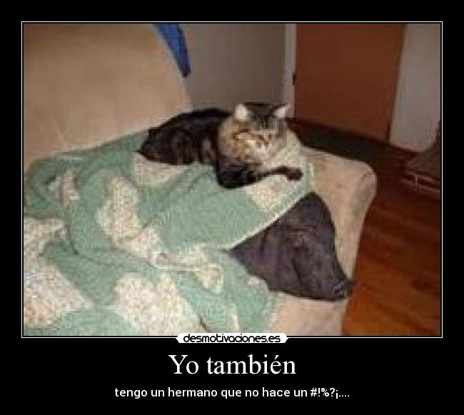 Yo también - tengo un hermano que no hace un #!%?¡....