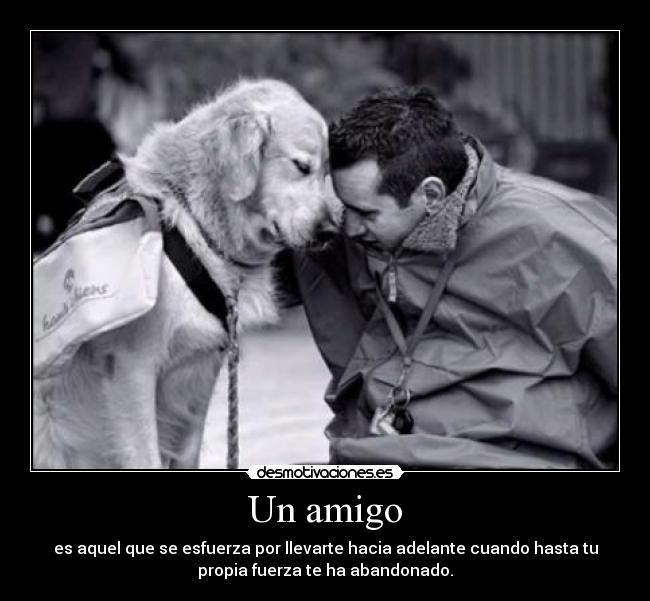 Un amigo - es aquel que se esfuerza por llevarte hacia adelante cuando hasta tu
propia fuerza te ha abandonado.