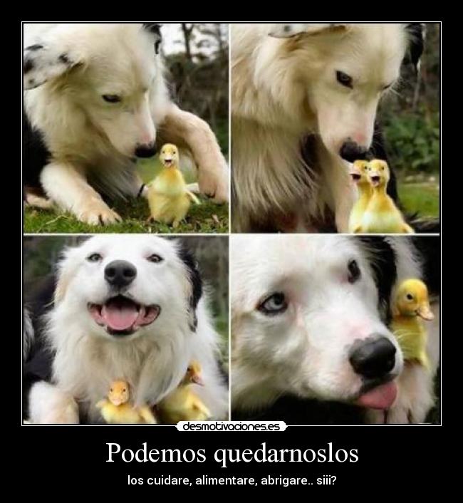 carteles dfdf desmotivaciones