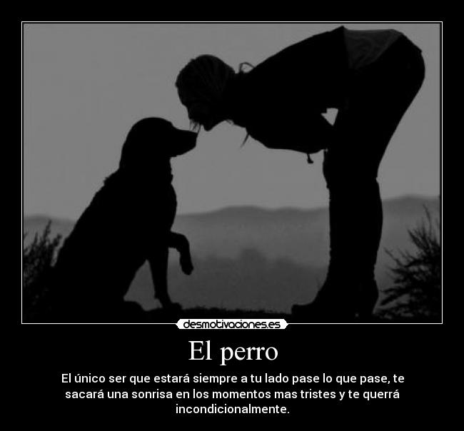 El perro - El único ser que estará siempre a tu lado pase lo que pase, te
sacará una sonrisa en los momentos mas tristes y te querrá
incondicionalmente.