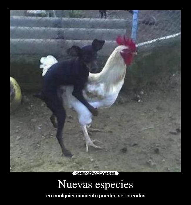 carteles nuevas desmotivaciones