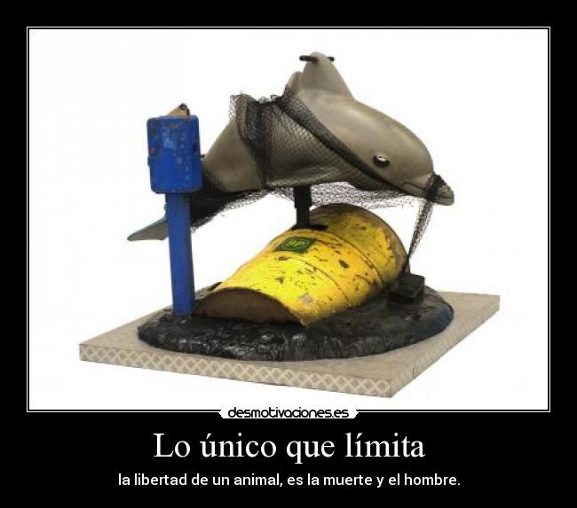 Lo único que límita -