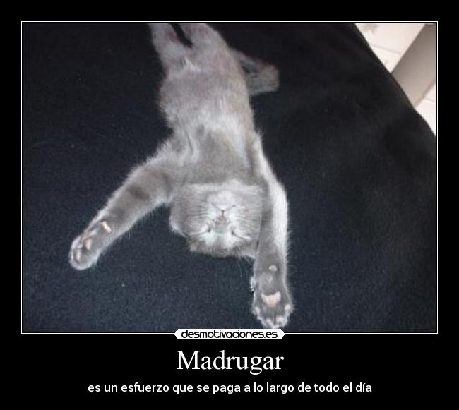 Madrugar - es un esfuerzo que se paga a lo largo de todo el día