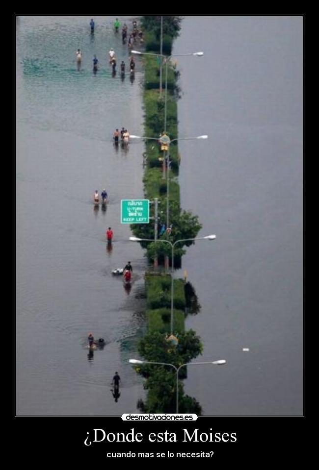 ¿Donde esta Moises -