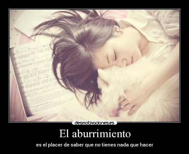 carteles que lindo una siesta lastima que manana dia ocupadisimo desmotivaciones