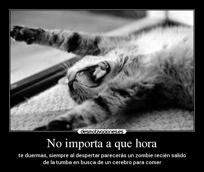 No importa a que hora - te duermas, siempre al despertar parecerás un zombie recién salido
de la tumba en busca de un cerebro para comer