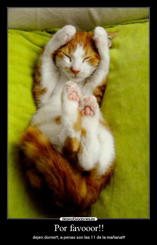 Por favooor!! - dejen dormir!!, a penas son las 11 de la mañana!!!