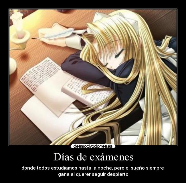 Días de exámenes -