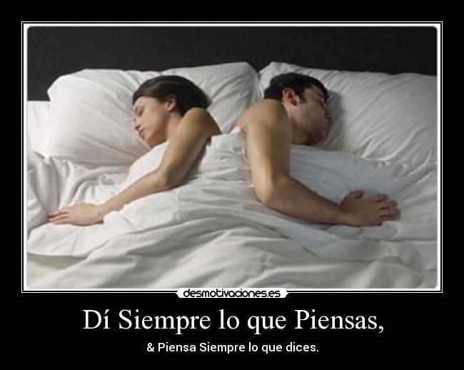 carteles sophiepawsup desmotivaciones